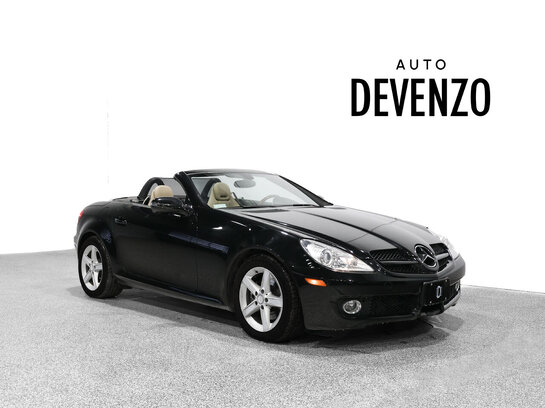 Mercedes-Benz SLK-Class 2009 2009 Noir